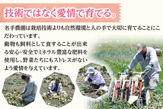 【定期便】名手農園の淡路島特産玉ねぎ(5kg)とお米(5kg)の10ヶ月コース