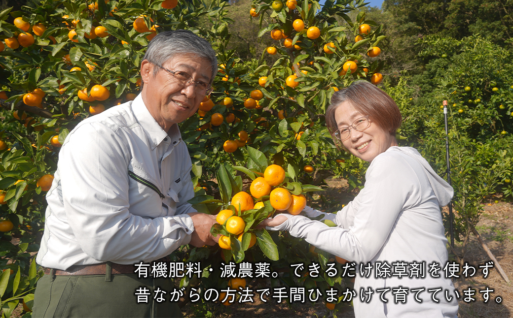 片山農園の淡路島みかん(温州みかん)7.5kg【サイズいろいろS～2Lサイズ】