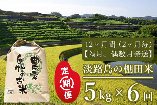 【定期便】淡路島の棚田米　5kg×6回（隔月、偶数月発送）　　[米 お米 精米 白米]