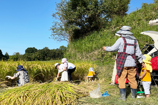 【定期便】淡路島の棚田米　10kg×6回（隔月、偶数月発送）　　[米 お米 精米 白米]