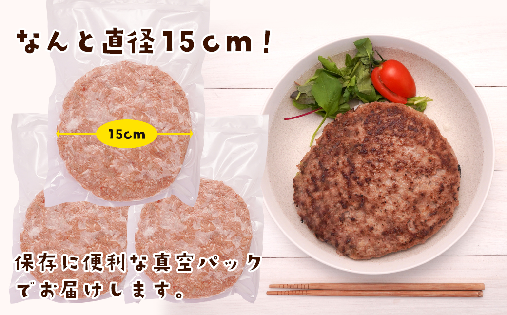 淡路島たまねぎのBIG SIZEハンバーグ 500g×3個　　[ハンバーグ 淡路島 ハンバーグ 合挽 ハンバーグ]