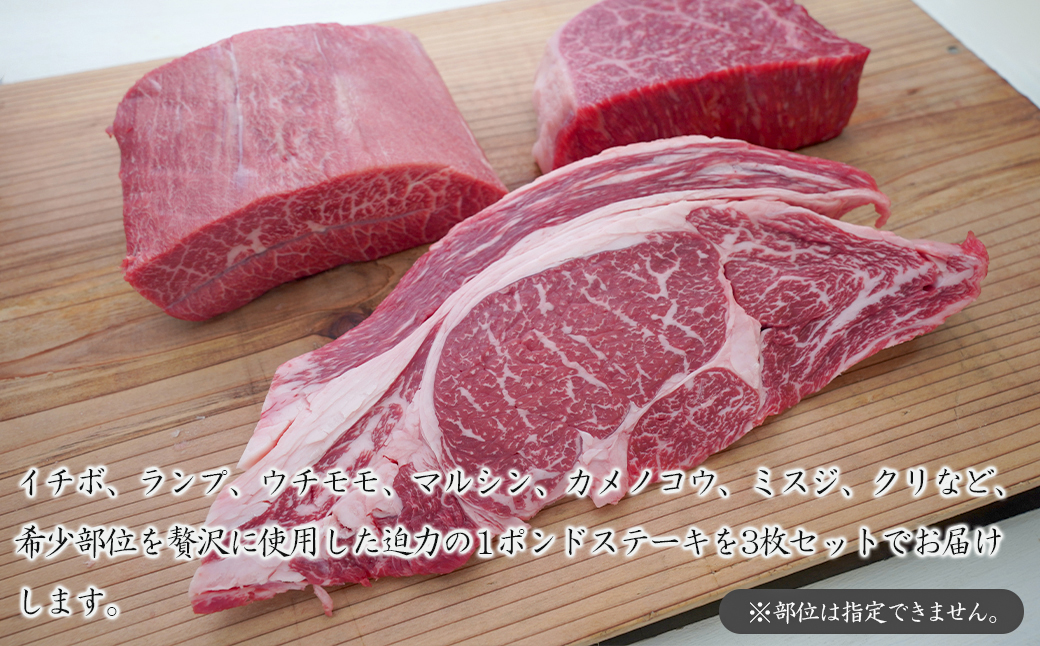 淡路牛希少部位ステーキ 3ポンド食べ比べ 約450ｇ×3枚　　[ステーキ 国産 ステーキ 牛肉 ステーキ おすすめ]