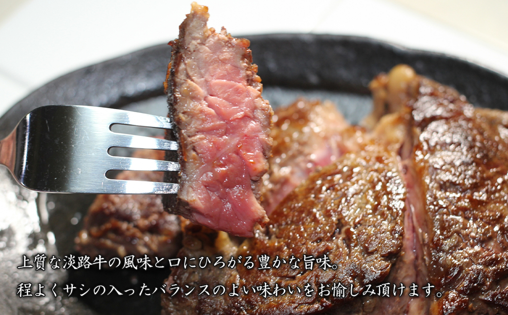 淡路牛霜降りステーキ 100g×5枚　　[国産 ステーキ 牛肉 ステーキ おすすめ ステーキ 霜降り]