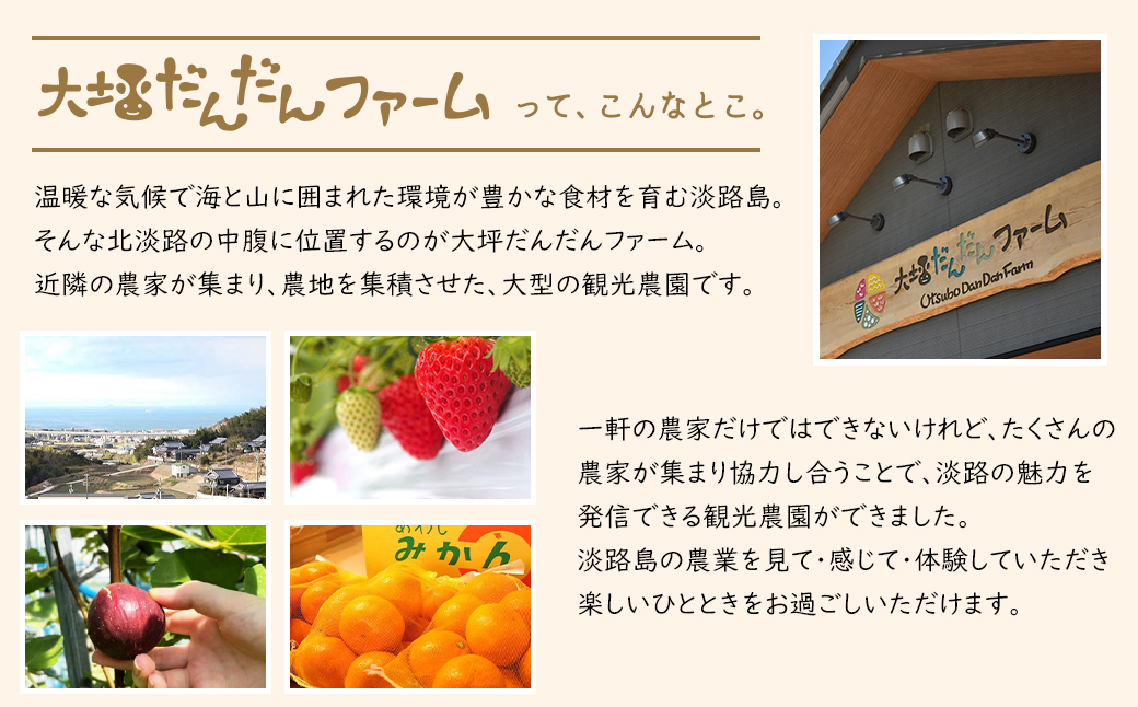 淡路島の温暖な気候で育ったいちご・いちじく・みかんを使った３種のフルーツジャムセット