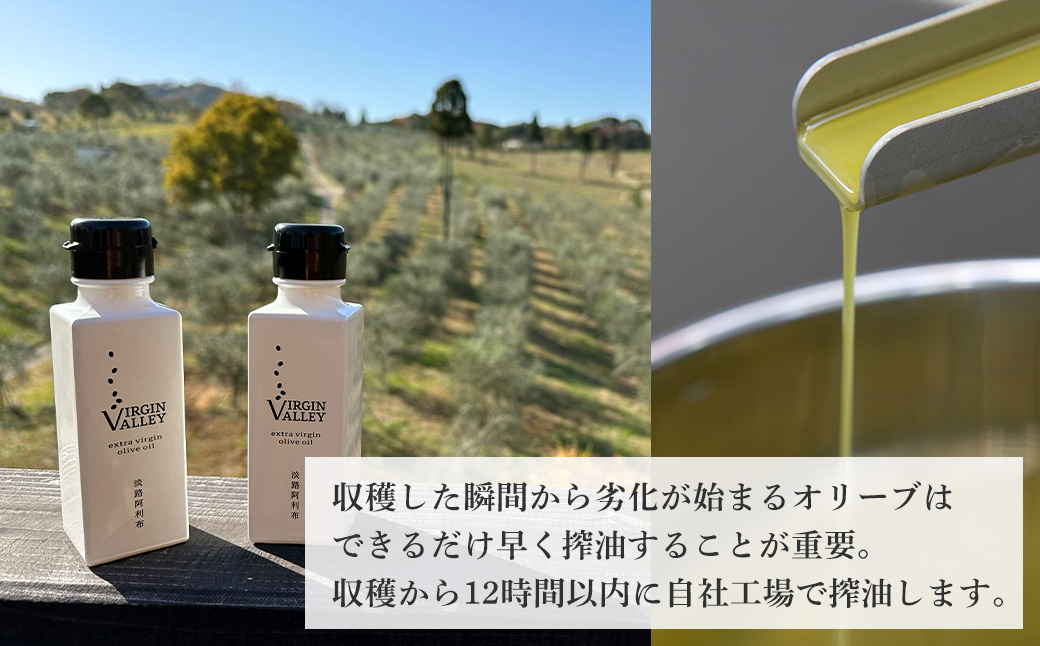 「Virgin Valley 淡路阿利布」91ｇ（エキストラバージンオリーブオイル）【2023年度産】　　[オリーブオイル エキストラヴァージン オリーブオイル]