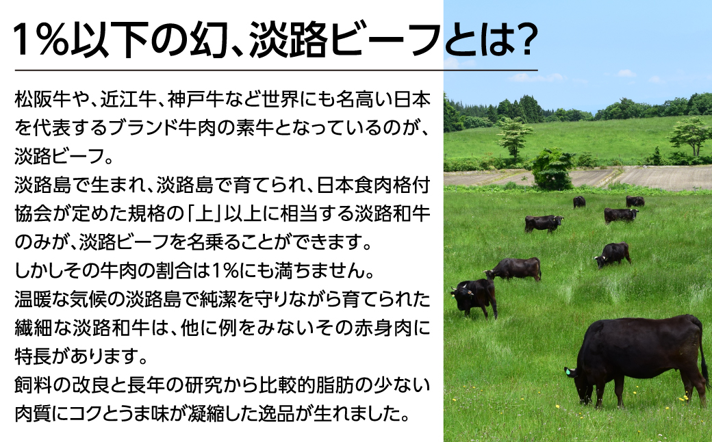 特選淡路ビーフステーキ1kg(200g×5枚)　　　[黒毛和牛 冷蔵 ステーキ 国産 牛肉 ステーキ 人気 おすすめ ステーキ]