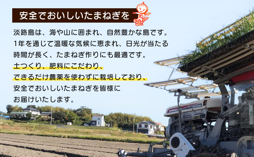 【新たまねぎ】淡路島たまねぎ 歩-AYUMU- 5kg【発送時期：2025年3月～6月上旬頃】　　[玉ねぎ 玉葱 タマネギ]