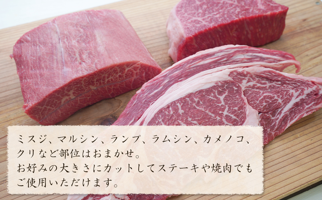 淡路牛 希少部位ブロック 約500g　　　[ブロック 牛肉 ローストビーフ用 ブロック 牛肉 ローストビーフ用 ブロック 牛肉 ローストビーフ用 ブロック 牛肉 ローストビーフ用]