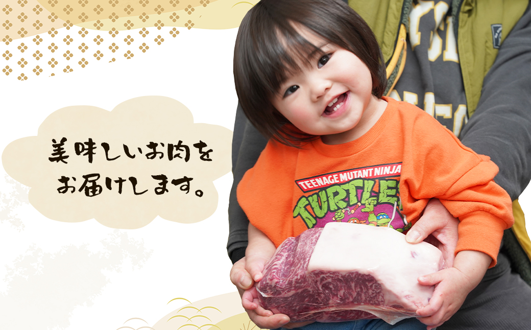 淡路牛 希少部位ブロック 約500g　　　[国産 ブロック ステーキ用 牛肉 焼肉用 ブロックローストビーフ用 ブロック]