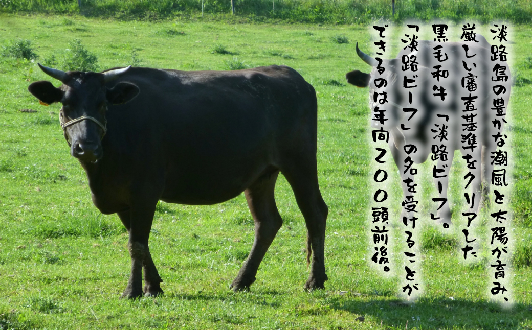 淡路島産黒毛和牛 赤身すき焼き・しゃぶしゃぶ用300ｇ【淡路ビーフ】