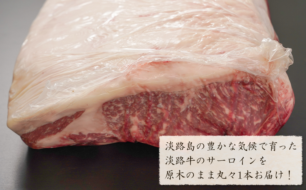 淡路牛 サーロイン 原木丸々1本 約6～8kg　　[サーロイン 原木 ロース サーロイン 牛肉]