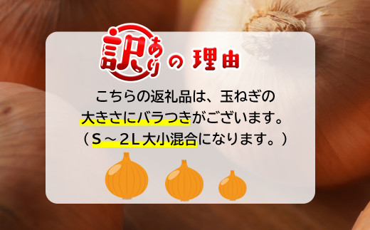 【訳あり】今井ファームの淡路島たまねぎ 5kg【サイズ混合S～2L】　　[玉ねぎ 玉葱 たまねぎ 玉ねぎ 玉葱 たまねぎ 玉ねぎ 玉葱 訳アリ たまねぎ 淡路島 玉ねぎ 玉ねぎ 玉ねぎ 玉ねぎ 玉ねぎ 訳アリ 玉ねぎ 玉ねぎ 玉ねぎ 玉ねぎ 玉ねぎ 玉ねぎ 玉ねぎ 玉ねぎ 訳あり]