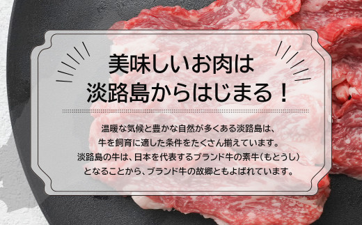 淡路牛カルビ焼肉用500ｇ（250g×2）