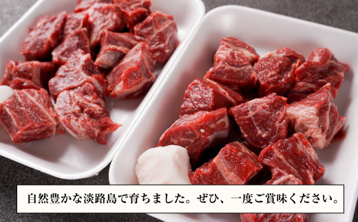 淡路牛 カレー・シチュー煮込み用 すね肉等 角切り肉　600ｇ 【3D急速冷凍】