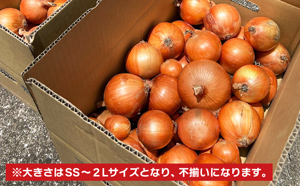 淡路島玉葱 10kg 【栽培期間中、無農薬栽培】サイズ混合SS～2L