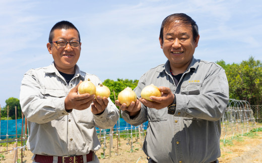 名手農園の淡路島特産玉ねぎ 5kg　　[淡路島たまねぎ 玉葱 玉ねぎ たまねぎ 淡路島たまねぎ 玉葱 玉ねぎ たまねぎ]