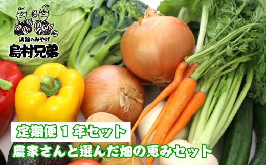 【定期便１年セット】農家さんと選んだ畑の恵みセット　　[野菜セット 定期便 野菜セット 野菜セット 淡路島 野菜セット 定期便 野菜セット]