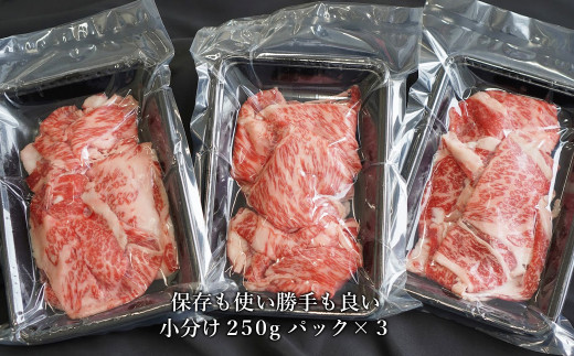 【定期便6ヶ月】 淡路牛 ロース切り落し 750g (250g×3パック)　　[切り落とし 国産 牛肉 切り落し きりおとし すき焼き 定期便]