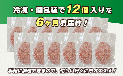 【定期便6ヶ月】淡路島 極味ハンバーグ 150g×12個　　[牛肉100％ ハンバーグ 冷凍 ハンバーグ 人気 ハンバーグ おすすめ 定期便]