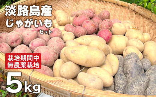 淡路島産じゃがいもセット 5kg【栽培期間中、無農薬栽培】　　[じゃがいも ジャガイモ じゃがいも ジャガイモ]