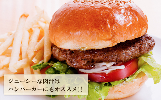 淡路島玉ねぎと国産牛の生ハンバーグ150g×30個　　　 [冷凍ハンバーグ たまねぎハンバーグ 淡路島ハンバーグ ハンバーグ 合挽 ハンバーグ]