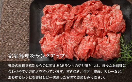 【A5ランク限定】淡路島産黒毛和牛 切り落とし 500g　 [淡路島産神戸ビーフ 神戸ビーフ 切り落とし 神戸ビーフ]