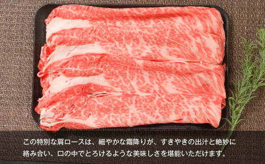 【A5ランク限定】淡路島産黒毛和牛 すきやき用肩ロース 500g　　[淡路島産神戸ビーフ 神戸ビーフ すき焼き 神戸ビーフ]