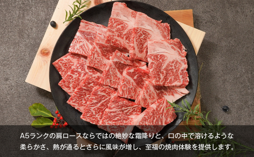 【A5ランク限定】淡路島産黒毛和牛 焼肉用肩ロース 500g　　[淡路島産神戸ビーフ 神戸ビーフ 焼肉 神戸ビーフ]