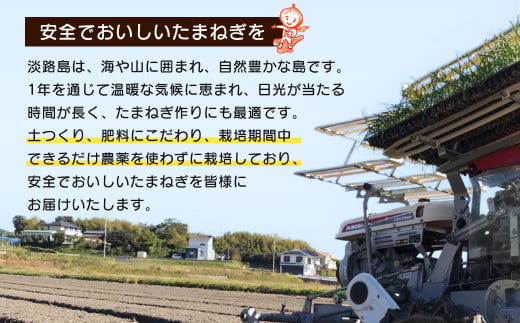 【新たまねぎ】淡路島たまねぎ 歩-AYUMU-と淡路島たまねぎ含有量50％ドレッシングセット