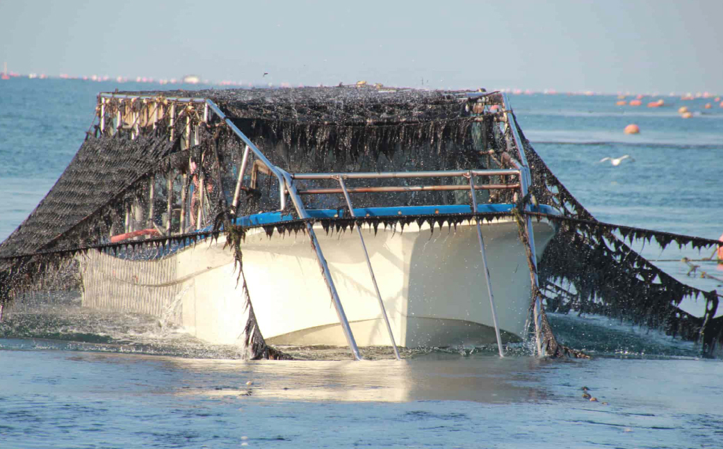 淡路島産 一番摘み海苔 4種セット（味付け海苔2種・焼のり・塩海苔）　　[のり 味付け海苔 焼き海苔]