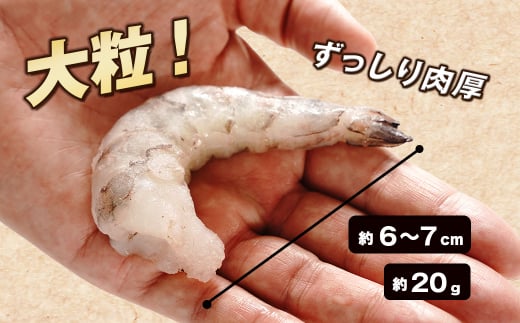 至福の大粒むきえび　背ワタ処理済 1kg　　[むきえび ムキエビ むきえび ブラックタイガー ムキエビ むきえび 大粒 ムキエビ むきえび 大型 ムキエビ むきえび ムキエビ むきえび ムキエビ むきえび ムキエビ むきえび ムキエビ むきえび ムキエビ むきえび ムキエビ むきえび ムキエビ むきえび ムキエビ]