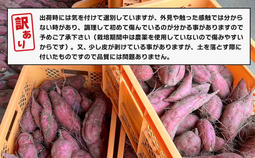 【訳アリ】淡路島産サツマイモ 5kg【栽培期間中、無農薬栽培】　　[さつまいも サツマイモ さつまいも サツマイモ]