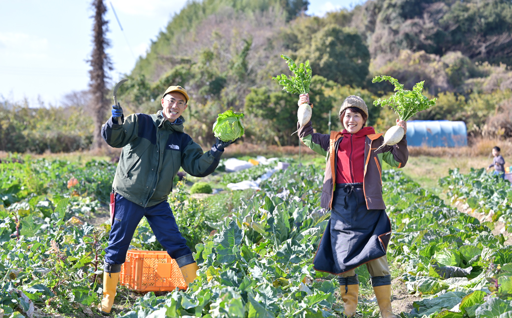 【定期便】ご家庭向けお野菜セット～旬のおまかせBOX～毎月12回分（1年間）