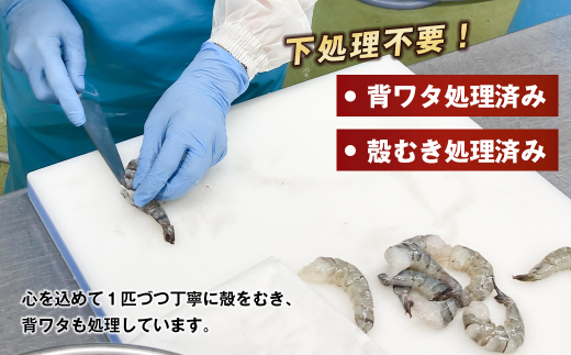 【定期便3ヶ月】至福の大粒むきえび　背ワタ処理済 1kg　　[むきえび ムキエビ むきえび ブラックタイガー ムキエビ むきえび 大粒 ムキエビ むきえび 大型 ムキエビ むきえび ムキエビ むきえび ムキエビ むきえび ムキエビ むきえび ムキエビ むきえび ムキエビ むきえび ムキエビ むきえび ムキエビ むきえび ムキエビ]