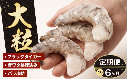 【定期便6ヶ月】至福の大粒むきえび　背ワタ処理済 1kg　　[むきえび ムキエビ むきえび ブラックタイガー ムキエビ むきえび 大粒 ムキエビ むきえび 大型 ムキエビ むきえび ムキエビ むきえび ムキエビ むきえび ムキエビ むきえび ムキエビ むきえび ムキエビ むきえび ムキエビ むきえび ムキエビ むきえび ムキエビ]