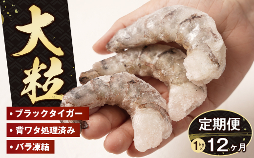 【定期便12ヶ月】至福の大粒むきえび　背ワタ処理済 1kg　　[ムキエビ ブラックタイガー 大型]