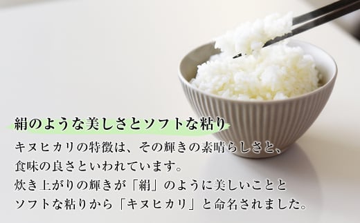 淡路島産　キヌヒカリ　10kg　定期便（6回）