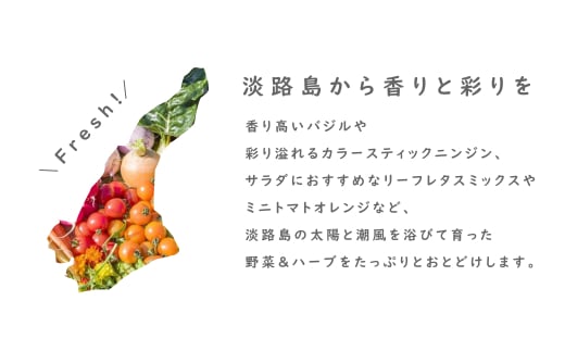 【定期便】彩り野菜と香るハーブセット　３回お届けセット　　[野菜セット 定期便 野菜詰め合わせ 定期便 野菜セット]