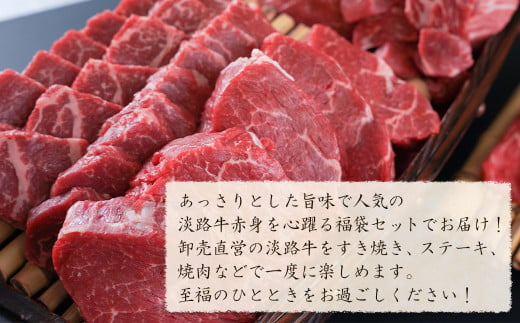 淡路牛 赤身肉の福袋 6種詰合せ 【50,000円コース】【2025年2月より順次発送】　　[福袋 赤身切り落とし 赤身ステーキ 赤身サイコロステーキ 赤身すきやき用スライス 赤身焼肉 福袋]