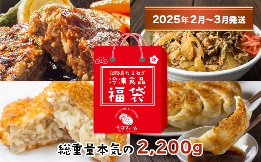 【2025年2月～3月発送】今井ファームの冷凍食品お楽しみ福袋【ハンバーグ・牛丼・餃子・コロッケ】