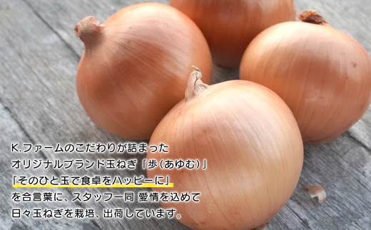 【定期便12ヶ月】淡路島たまねぎ 歩-AYUMU- 10kg　　[玉ねぎ 玉葱 タマネギ 玉ねぎ 淡路島産 玉ねぎ 玉ねぎ 玉ねぎ 玉ねぎ]