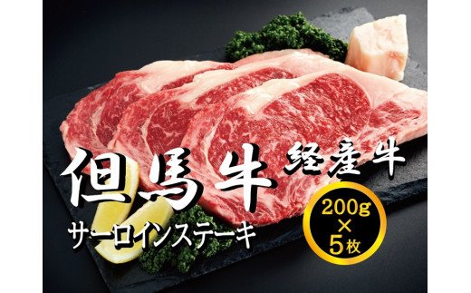 032AA01N.いちかわ精肉店「サーロインステーキ」200ｇ×5