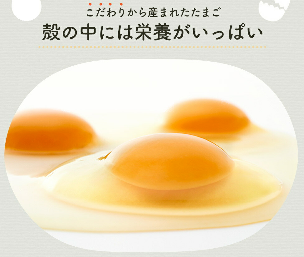 060AB01N.タズミの卵Ｌサイズ（30個×12ヶ月）