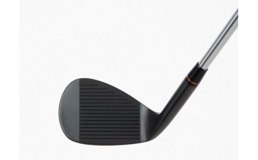 060BE10N.FG HIGH BOUNCE WEDGE（NSPRO950(S)）