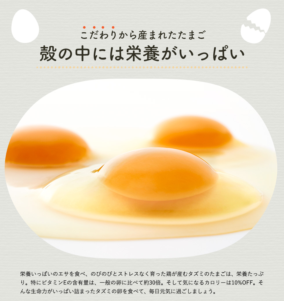 018AB01N.タズミの卵Ｍサイズ（30個×3か月）