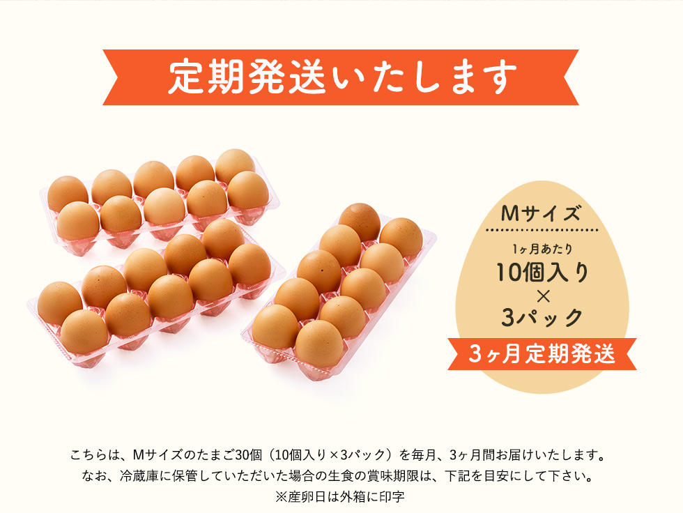 022AB01N.タズミの卵Ｍサイズ（30個×3か月）