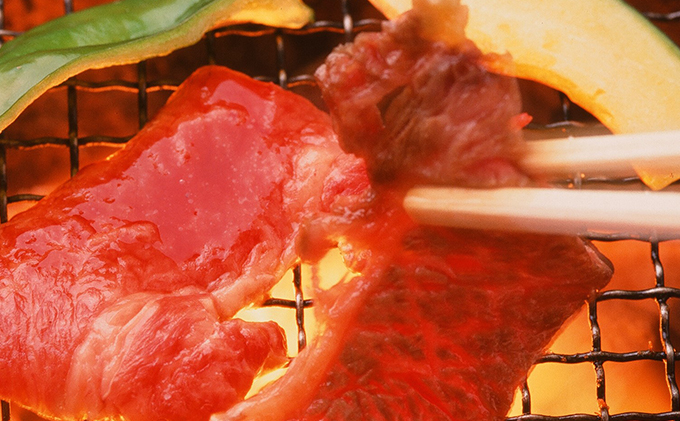  定期便 但馬牛 焼肉 5種 食べ比べ 計500g 6ヶ月連続お届け[ 牛肉 お肉 ブランド牛 焼き肉 キャンプ BBQ アウトドア バーベキュー 霜降り 赤身 ギフト ]