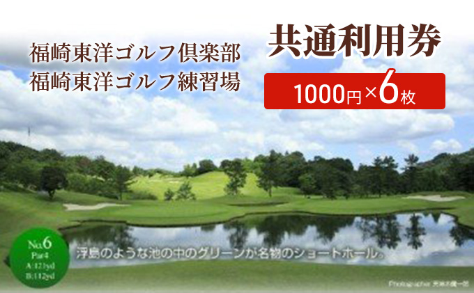 福崎東洋ゴルフ倶楽部・福崎東洋ゴルフ練習場 共通利用券 1000円×6枚