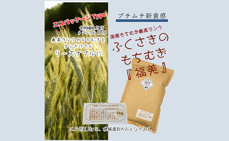 ふくさきのもちむぎ「福美」精麦1kg×4袋 4kg eco Package エコパッケージ