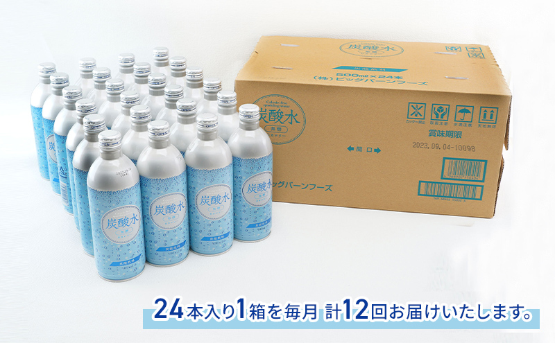 炭酸水 定期便 12ヶ月 500ml×24本 缶 ボトル缶 12回 お届け 定期 お楽しみ 兵庫県 福崎町 ソーダ おいしい水 ソーダ割 ドリンク ボトル 缶